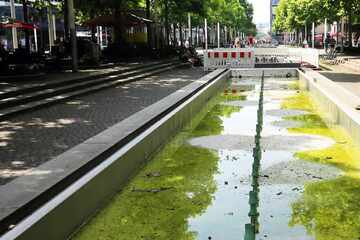 Dresden: Frittenfett greift Brunnen an Prager Straße an: Daher stammt das ausgekippte Öl