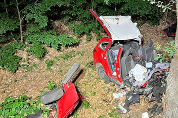 Auto kracht gegen Baum: 40-Jähriger stirbt noch am Unfallort
