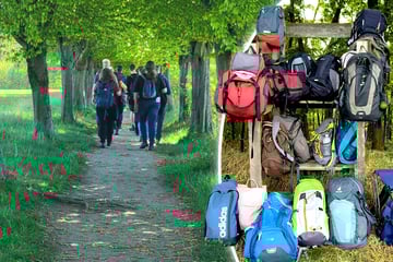 Dresden: Auf neuen (Wander-)Wegen zur großen Liebe: So finden Dresdner Singles zueinander