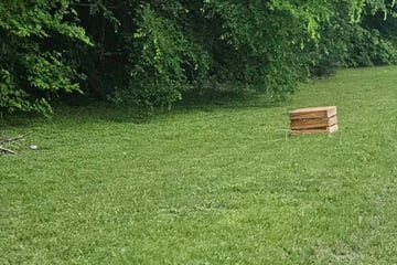 Frau erspäht von Weitem Kiste auf Wiese: Als sie näher kommt, hält sie den Atem an