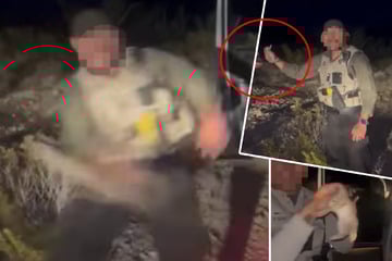 Hasenbaby gegen Polizeiauto geworfen: Tierquäler-Cop aus Kill-Video gefeuert