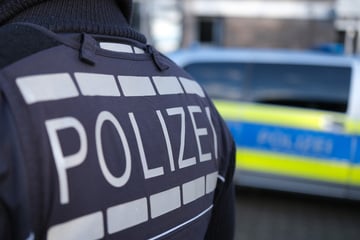 Frisch aus der Haft entlassen: Autodieb leistet sich Verfolgungsjagd mit Polizei