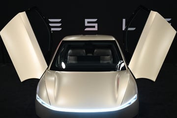 Safety regulators look into Tesla robotaxi's viral driving mistakes