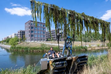 Leipzig: "Invasive gebietsfremde Art": Wasserpflanzen in Leipziger Kanal werden weggesenst