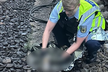 "Mögliche Person im Gleis" gemeldet: Als die Polizei eintrifft, macht sie eine ungewöhnliche Entdeckung