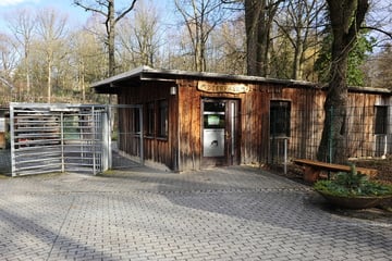 Chemnitz: Tierpark Chemnitz geschlossen: Verdacht auf Vogelgrippe!