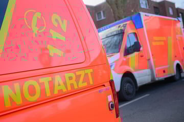 Fußgänger geht in Tiergarten bei Rot und wird von Auto erfasst