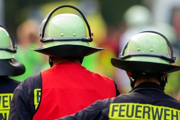 Dresden: Dramatischer Einsatz: Mann steckt mit Kopf im Zaun fest - Rettungskräfte kämpfen um sein Leben