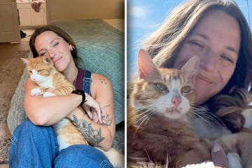 Frau nimmt spontan Katze von Straße bei sich auf: Wenig später plagt sie eine große Sorge