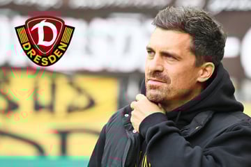 Darum hätte es laut Dynamo-Coach Stamm keinen Treueschwur gebraucht