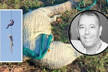 Monster-Kroko soll vermissten Hotelier gefressen haben! Polizist holt 500-Kilo-Koloss aus Fluss