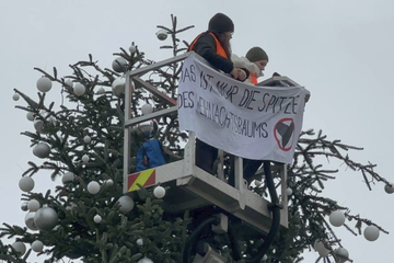 Weihnachtsbaum-Spitze abgesägt: Klima-Kleberin (23) muss zahlen