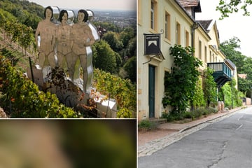 Schon zum dritten Mal: "Drei Herren" in Radebeul sind Weinkultur-Gut