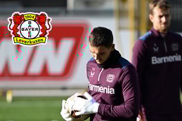 Wechsel fast perfekt: Dieser Keeper verlässt Bayer 04