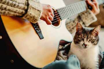 Do cats like music, and how do we know?