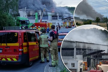 Dresden: Rauchwolke am Himmel: Brand in Lockwitzer Abfall-Firma, Feuerwehr im Großeinsatz