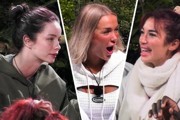 Nichts für schwache Nerven: Dieser TV-Zicken-Terror ist kaum noch zu ertragen!