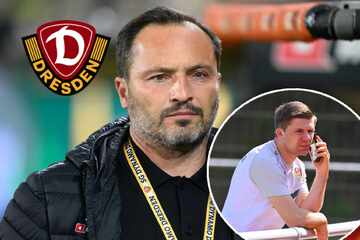 Dynamo-Baustelle Geschäftsführung: Übernimmt er jetzt als Interimslösung?