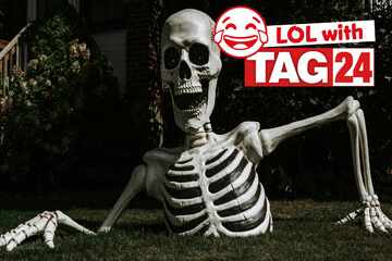 Joke of the Day for October 31, 2025: Spooky fun for a Happy Halloween!