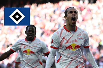 HSV-Blog: Transfercoup: Ersetzt dieser Bundesliga-Star Davie Selke?
