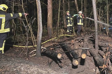 Wald im Landkreis Bautzen brennt