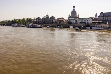 Hochwasser in Dresden: Wasserpegel erst Ende September wieder normal?