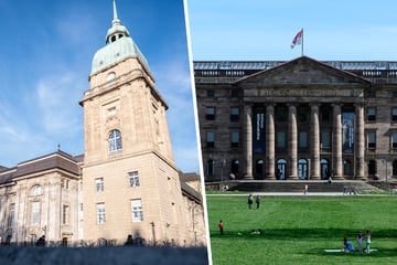 Kunst-Liebhaber aufgepasst! Kassel und Darmstadt zeigen Dürer-Meisterwerke zu besonderem Anlass