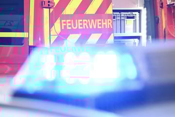 Tischlerei steht unter Wasser: Vor Ort werden ungewöhnliche Spuren entdeckt