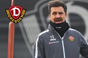 Dynamo-Dresden-Blog: SGD nutzt Länderspielpause für Test gegen Erstliga-Klub