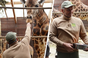 "Ich hoffe, dass ich was hinterlassen konnte, das bleibt": Zoo-Pfleger verabschiedet sich nach 20 Jahren
