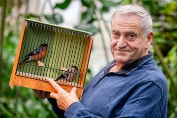 Chemnitz: Ihr Hobby ist zum Piepen: Chemnitzer Vogel-Liebhaber laden zum großen Jubiläum
