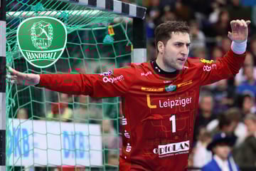 Zwei frühe Rote Karten besiegeln Leipzigs Schicksal gegen Flensburg