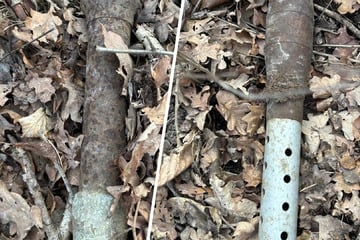 Schock beim Wald-Spaziergang: Mann findet mehrere Granaten