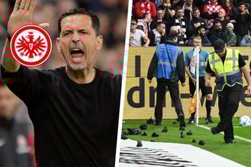 Nach dämlicher Wurfaktion in Mainz: Coach Toppmöller sauer auf Eintracht-Fans