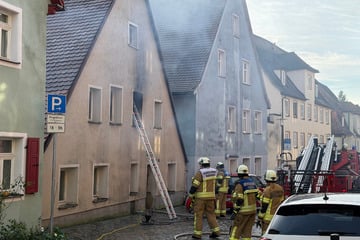 Großbrand in Wohnhaus: Katzen verenden in den Flammen