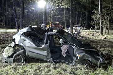 Vier Schwerverletzte: Auto kracht gegen Baum, Insassen werden aus Wagen geschleudert