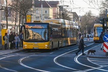 Bus muss wegen Fußgängerin scharf bremsen: Drei Frauen teils schwer verletzt