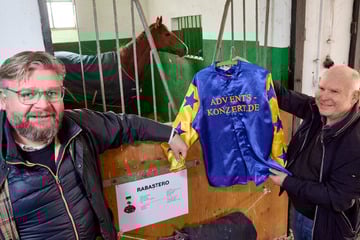 Dresden: "Jingle Bells" auf der Rennbahn: Wallach Rabastero startet fürs große Adventskonzert