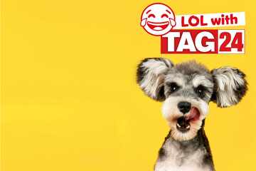 Joke of the Day for August 7, 2025: An animal silly to make you smile