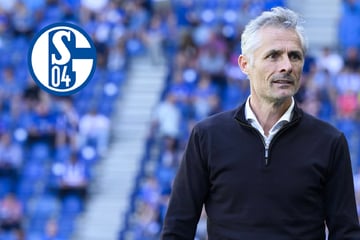 Selbst die Spieler kennen ihn nicht: ER wird neuer Schalke-Trainer!