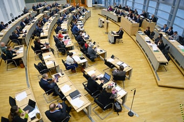 Streit im Landtag: AfD sorgt mit Ausschussgröße für Ärger