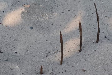 Kinder in Gefahr? Gefährlicher Gegenstand auf Spielplatz vergraben - Stadt geht von Vorsatz aus