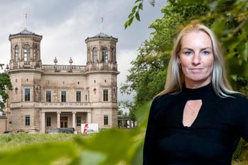 "Bodenlos unmoralisch": Aufschrei um Verkauf von Lingnerschloss