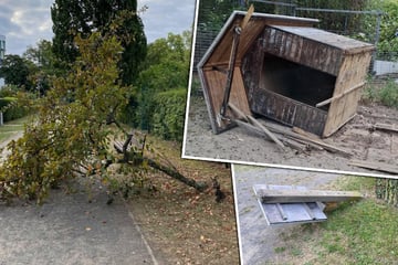 Leipzig: Blinde Zerstörungswut: Vandalen verwüsten Sachsens älteste Kleingartenanlage