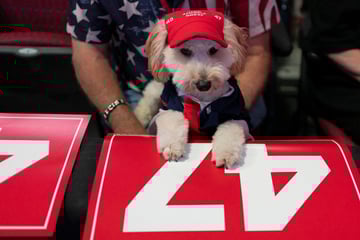 Newsom brutally trolls Trump over "dictator cosplay" at bizarre Mar-a-Lago "furry party"