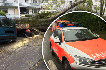Sturmtief fegt über NRW hinweg: Feuerwehr im Dauereinsatz, Frau unter Baum eingeklemmt!