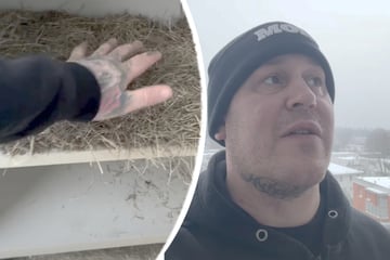 Malte Zierden: Von Malte Zierden inspiriert? Kiez-Legende überrascht mit tierischer Aktion