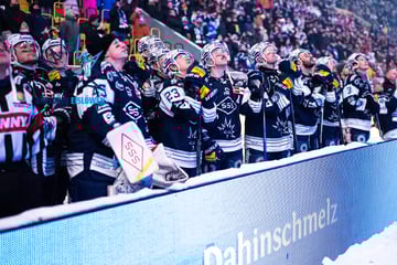 Nach dem Höhepunkt kommt der Liga-Alltag: Ist die Eislöwen-Luft jetzt raus?