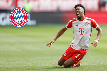 FC Bayern: Schmerzens-Schreie im Reha-Training! Knie-Schock für Coman