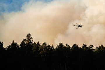 Waldbrand im Nationalpark lodert noch immer: Jetzt hoffen alle auf dasselbe